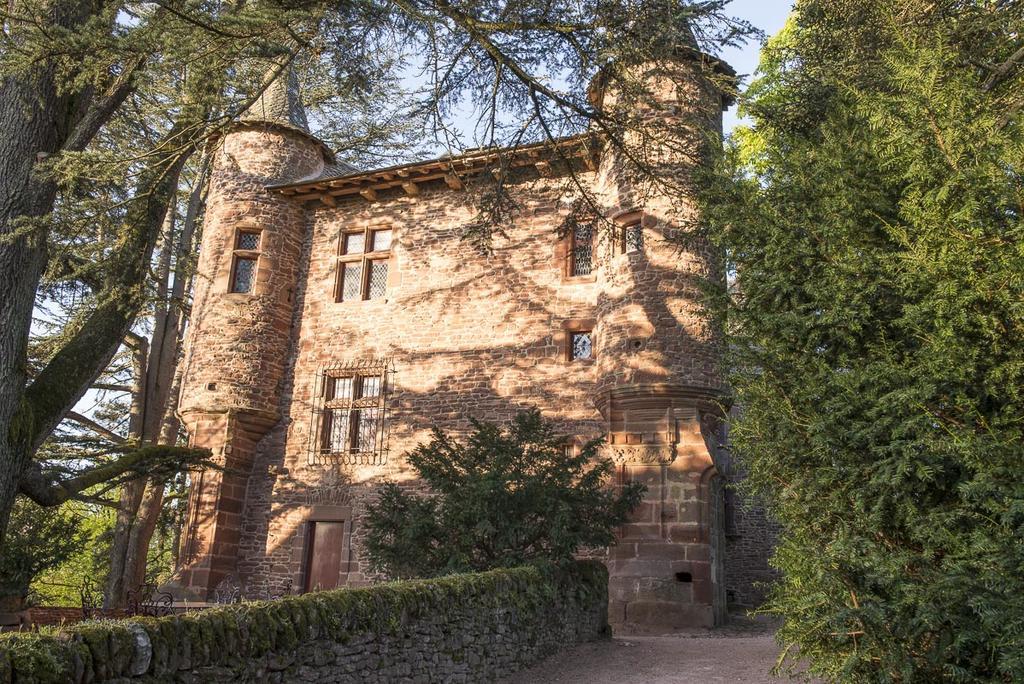 Chateau De Canac Rodez Kültér fotó